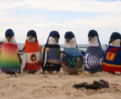 109-Year-Old Man Makes Little Sweaters For Australia's Little Penguins