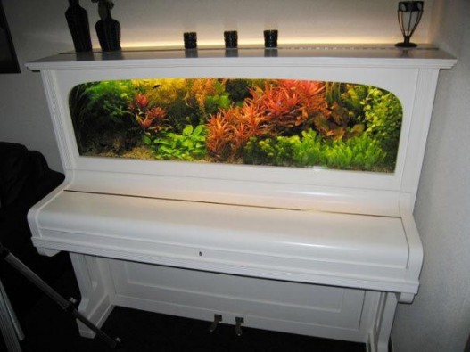 Фортепиано ⇒ аквариум