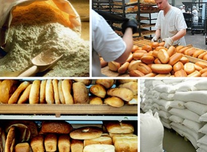 «Ֆոլաթթվով հարստացված հացը վտանգավոր է». նախազգուշացնում է կենսաֆիզիկոսը