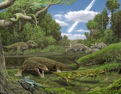 Палеонтологи выяснили, где рождались древние ящерицы