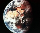 Earth 'entering new extinction phase' - US study