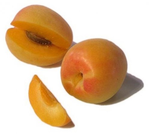 Априум. Гибрид абрикоса и сливы. Фрукт генетически на 75% состоит из абрикоса и на 25% — из сливы
