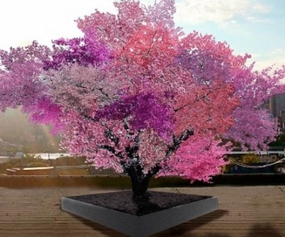 Профессор из США создал дерево, на котором растут 40 видов фруктов