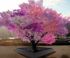 Syracuse professor reveals process behind stunning Tree of 40 Fruit
