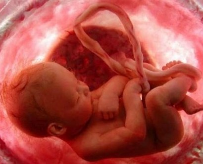 Как происходит зачатие ребенка фантастическое видео