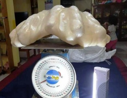 Fisherman found giant 34kg pearl worth $100million - but kept the two-foot long gem under his bed for TEN YEARS as a good luck charm