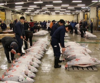 Աշխարհի ամենամեծ ձկնաշուկայում օրական իրացվում է 2000 տոննա ծովամթերք