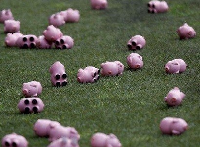 Болельщики в Англии забросали поле игрушечными свиньями