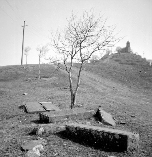 Շավնաբադի վանքը հյուսիս-արևմուտքից (լուս.` 1989 թ., Ս. Կ.)