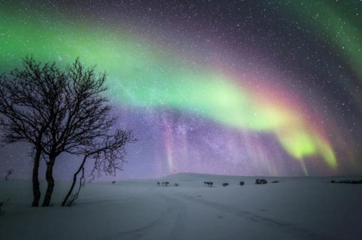 Завораживающая красота Лапландии в свете северных сияний