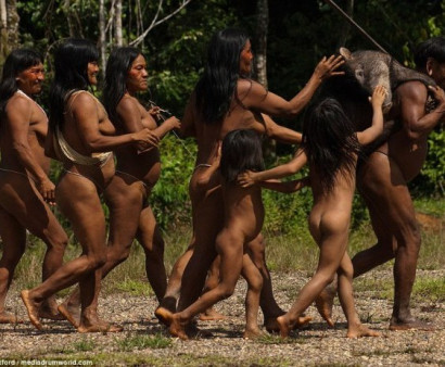 Կապիկներ որսացողները. ինչպես է այսօր ապրում վաորանի վայրի ցեղախումբը