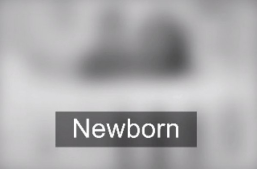 Вот как на самом деле видит новорожденный ребенок в первый год своей жизни.