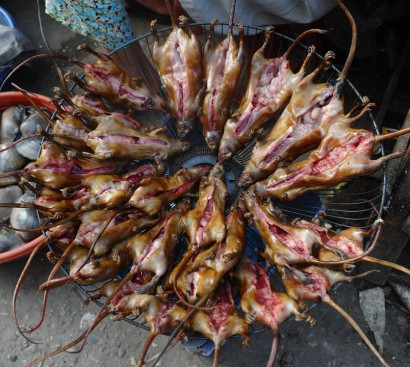 Ինչպես են Վիետնամում որսում և պատրաստում ամենահարգի ուտեստն` առնետի միսը