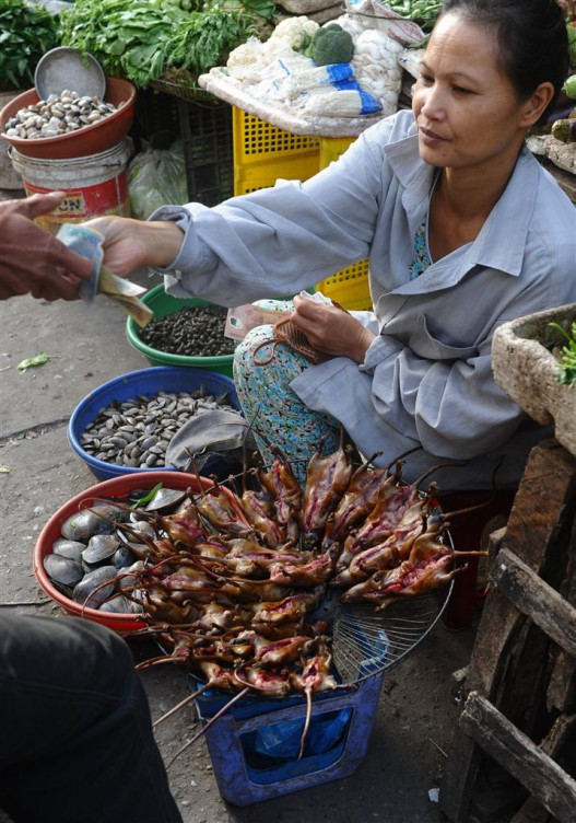 Ինչպես են Վիետնամում որսում և պատրաստում ամենահարգի ուտեստն` առնետը միսը