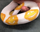 Python is found with incredible EMOJI markings An amazing snake has been found with markings that look just like a smiley face emoji.