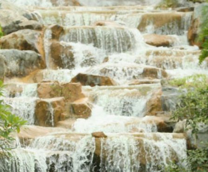 Не менее 20 человек погибли в Гане при падении дерева у водопада