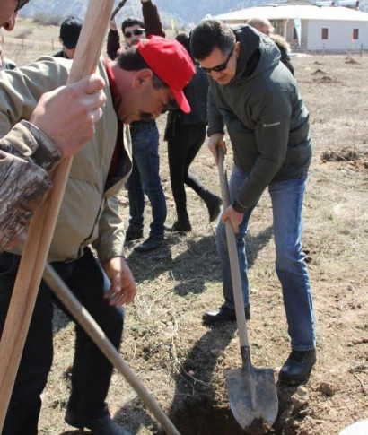 Tree planting aimed to preserve the ecosystem of Armenia