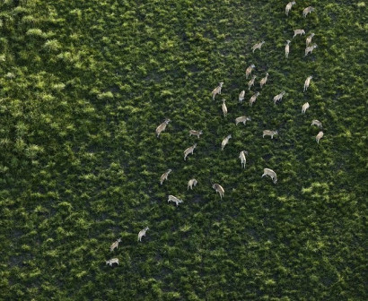 Հարավային Աֆրիկայի աբստրակտ բնապատկերները՝ թռչնի թռիչքի բարձրությամբ