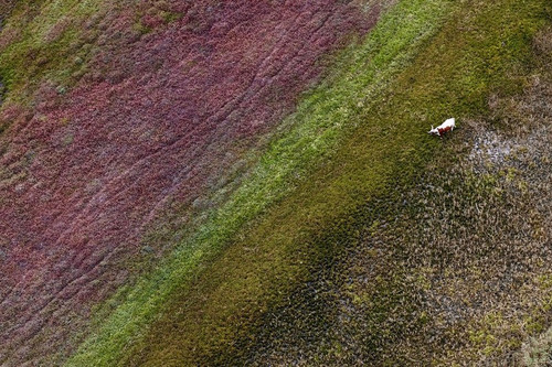 Հարավային Աֆրիկայի աբստրակտ բնապատկերները՝ թռչնի թռիչքի բարձրությամբ