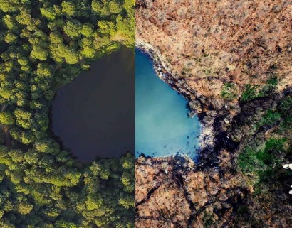 Ինչպես է անտառային երբեմնի գեղեցկուհի Գոշ լիճը 1 տարվա ընթացքում ենթարկվել բնապահպանական աղետի