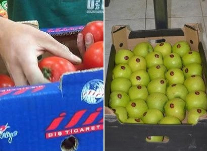 Իշխանությունները «չեն կարողանում» բացահայտել թուրքական լոլիկի և ադրբեջանական խնձորի ներկրողներին