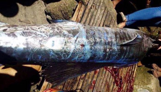 На Филиппинах поймали рыбу покрытую загадочными символами и узорами