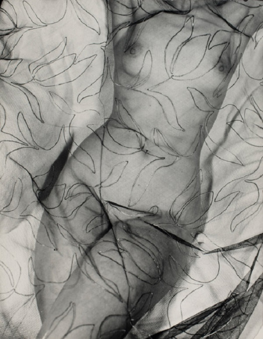 20-րդ դարի լուսանկարչի նյու ոճի աշխատանքները, որոնց մուսան նրա կինն է եղել