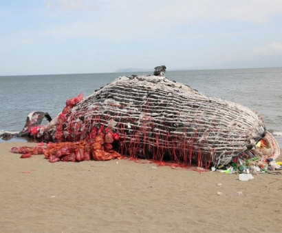 До жути реалистичная скульптура мёртвого кита, сделанная из пластикового мусора для напоминания о важной проблеме