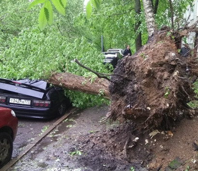 Жертвами урагана в московском регионе стали 14 человек