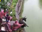 Tigers are fed a LIVE donkey at Chinese zoo after the animal is thrown into a moat with no escape
