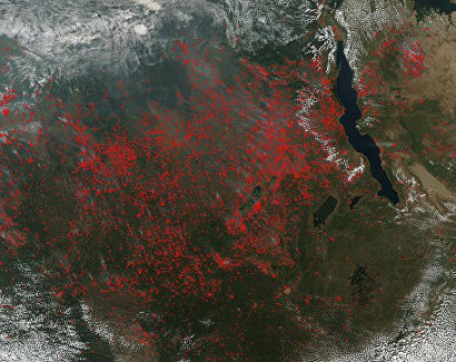 В Центральной Африке бушуют тысячи пожаров