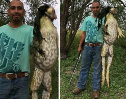 В Техасе поймали огромную лягушку
