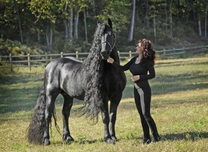 Фридрих Великий – самый красивый конь в мире
