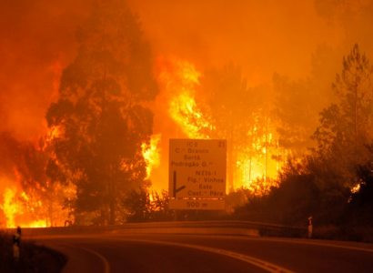 В результате лесного пожара в Португалии погибли 57 человек