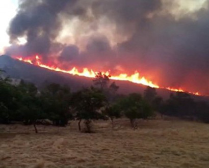 В Калифорнии ввели режим ЧС в одном из округов из-за природных пожаров