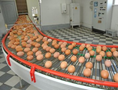 Отравленные яйца из Европы попали в 15 стран мира