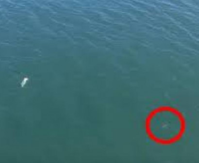 Drone video released of man swimming from Surf City Police
