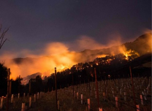 California fires: Deadly wildfires sweep through wine country