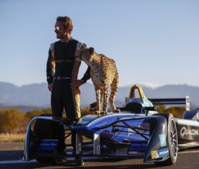 Бывший гонщик «Формулы-1» и гепард посоревновались в скорости