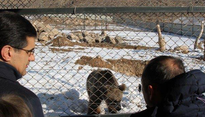 The first Wildlife Rescue Center opened in Armenia. VivaCell-MTS