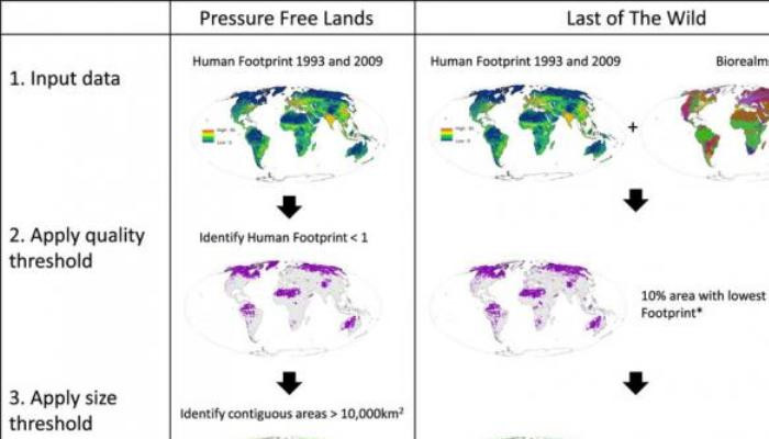 Temporally inter-comparable maps of terrestrial wilderness and the Last of the Wild