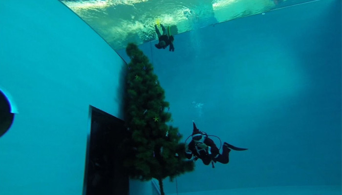 Divers Give Christmas Tree Underwater Home