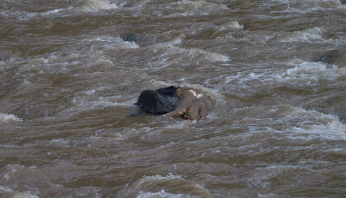 Բուրաստան գյուղում՝ ջրանցքում, 2 տարեկան երեխայի դի է հայտնաբերվել