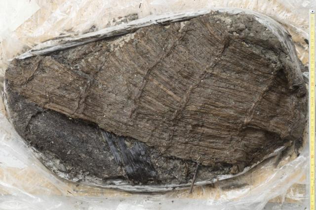Շվեյցարական լճում հայտնաբերվել է 5-հազարամյա կոշիկ