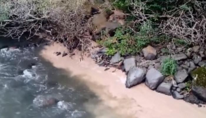 Արփա գետ է թափվում աղտոտված ջուր Լիդիանին պատկանող տարածքից (տեսանյութ)
