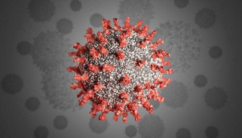Warm weather may have helped suppress coronavirus. #medRxiv.org
