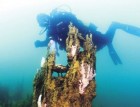 Van Gölü’nde mercan sürprizi Van Gölü’ne dalan Sualtı Görüntü Yönetmeni Tahsin Ceylan, “Boyu 30 metre olan mercanlara rastladık. Dünyadaki mikrobiyalitlerin en büyüğü burada” dedi