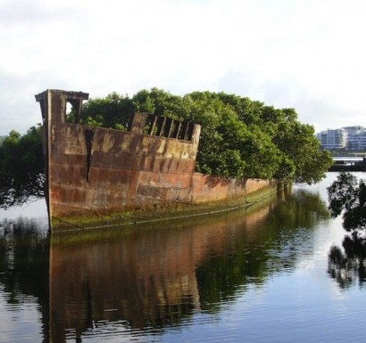 Avustralya Sidney'de bulunan 102 yaşındaki bu terk edilmiş gemi şimdi yüzen bir orman