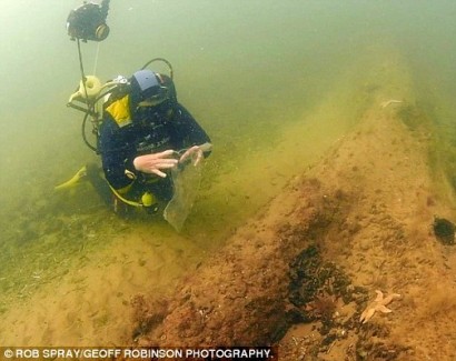Ancient underwater forest discovered off Norfolk coast