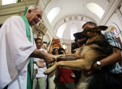 В Маниле священники благословили животных